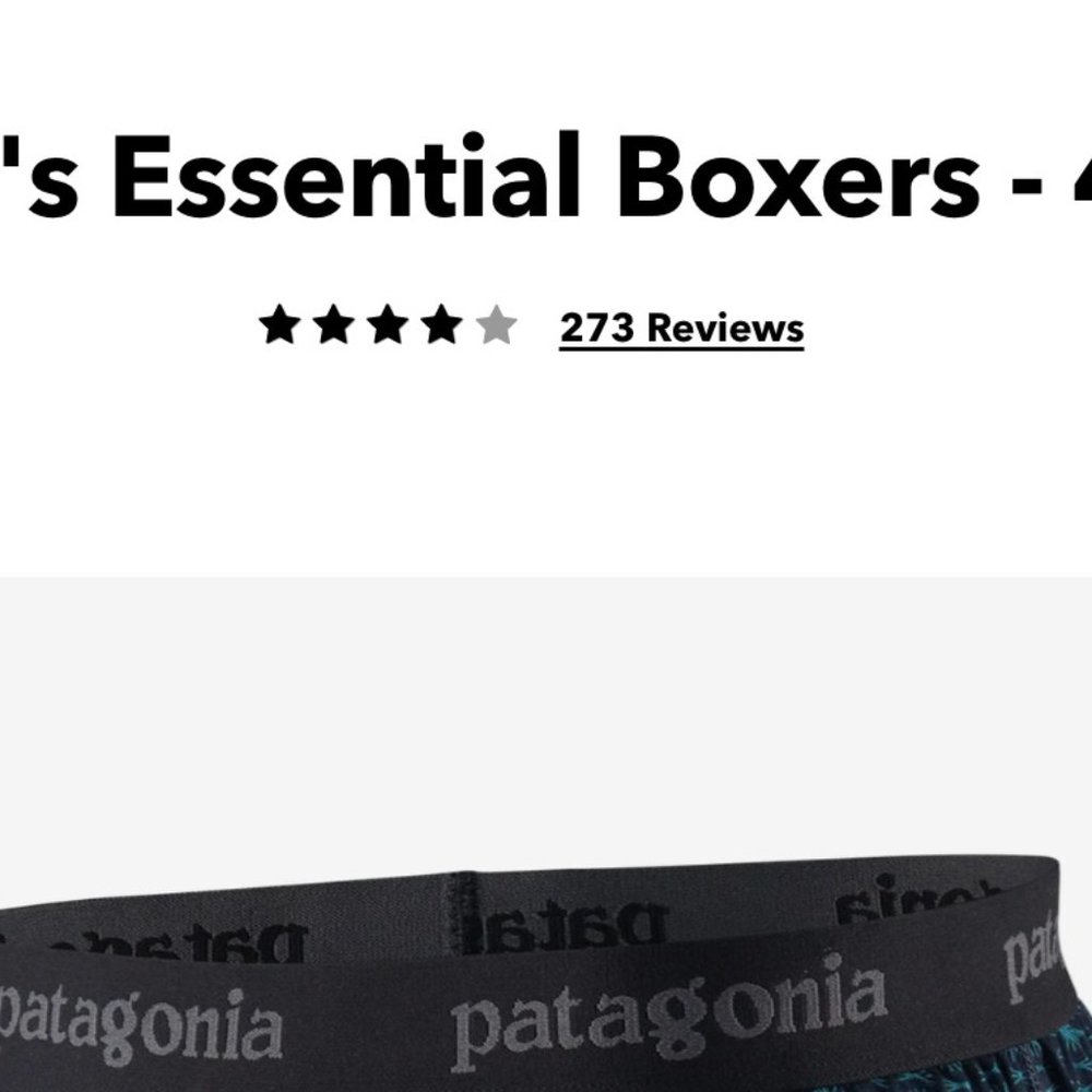 Patagonia Men's Essential Boxers